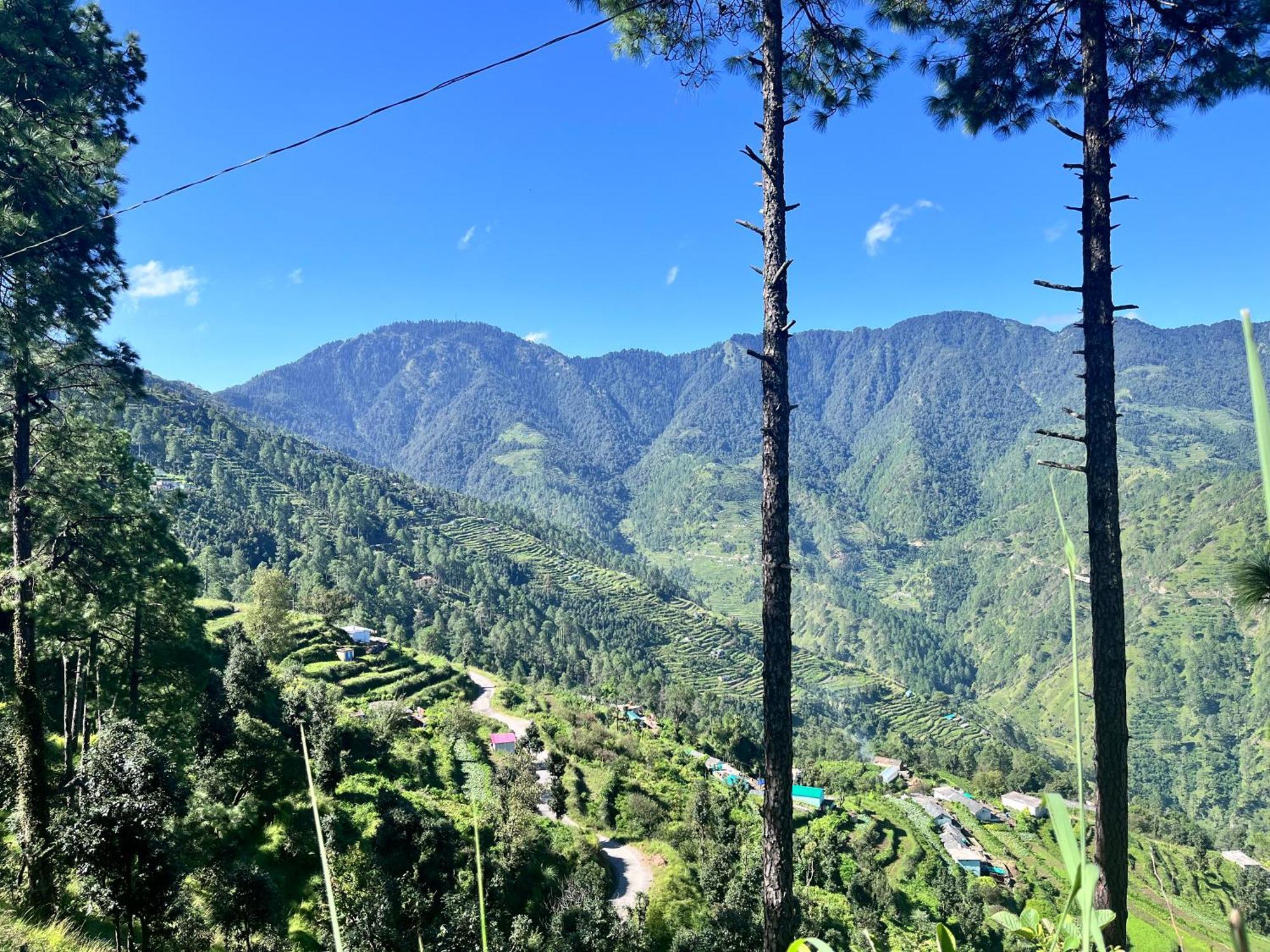 Himalayan Hill Top Resort Kanatal Eksteriør billede